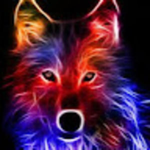 Meet your Posher, Jeremiah